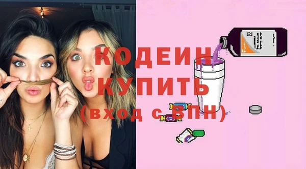 гашик Краснослободск