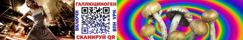 Галлюциногенные грибы GOLDEN TEACHER  цена   Добрянка 